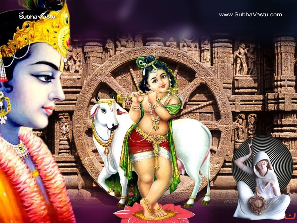 Subhavastu - Others - Category: Krishna - Image: Krishna-1024X768_709