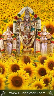 Balaji Mobile Wallpaper_610