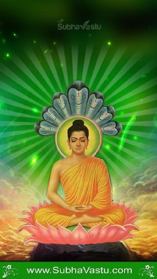 Buddha Mobile Wallpaper_214
