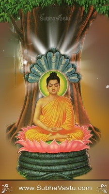Buddha Mobile Wallpapers_125