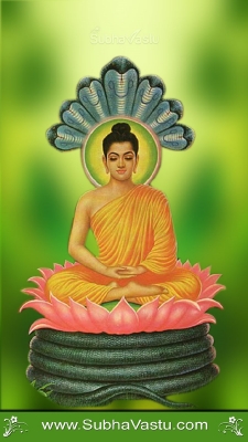 Buddha Mobile Wallpapers_289