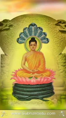 Buddha Mobile Wallpapers_307