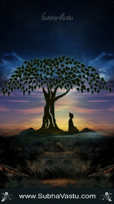 Buddha Mobile Wallpapers_318