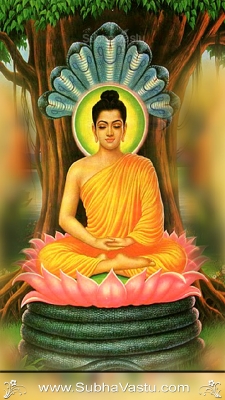 Lord Buddha Mobile Wallpapers_273