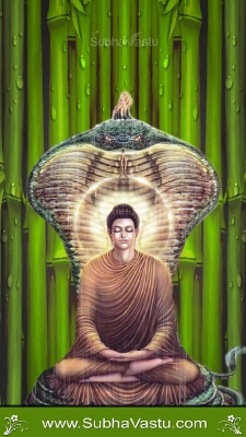 Lord Buddha Mobile Wallpapers_276