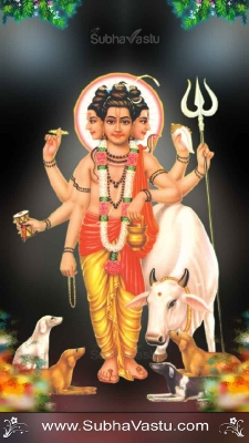 Dattatreya Mobile Wallpapers_103