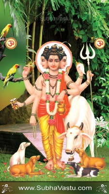 Dattatreya Mobile Wallpapers_370