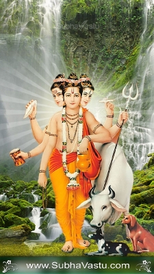 Dattatreya Mobile Wallpapers_375