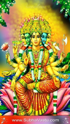 Gayathri Cell Wallpapers_27