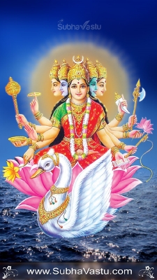 Gayathri Mobile Wallpapers_165
