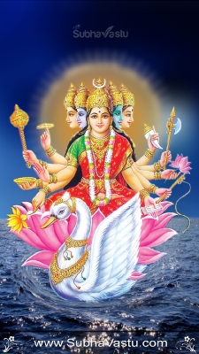 Gayathri Mobile Wallpapers_169
