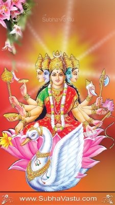 Gayathri Mobile Wallpapers_173