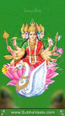 Gayathri Mobile Wallpapers_175