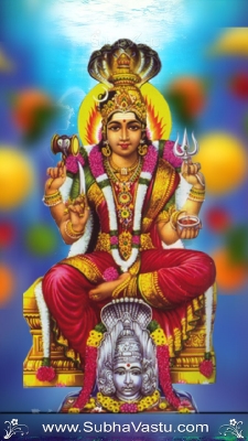 Gayathri Mobile Wallpapers_56