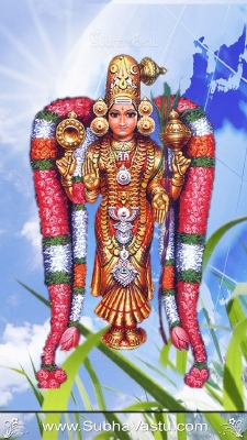 Gayathri Mobile Wallpapers_77