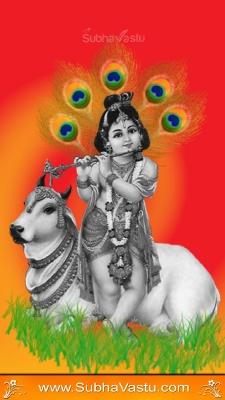 Krishna Mobile Wallpapers_1907