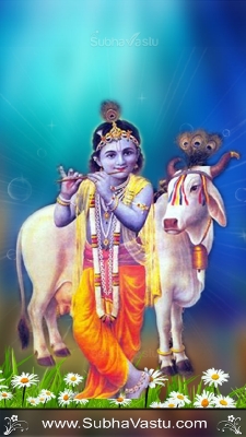 Krishna Mobile Wallpapers_2110