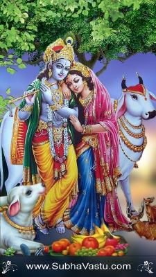 Krishna Mobile Wallpapers_2434