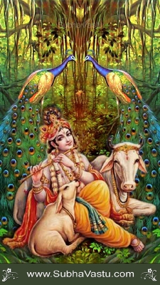 Krishna Mobile Wallpapers_2436