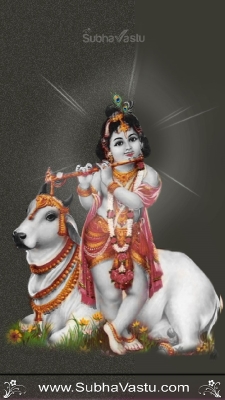 Krishna Mobile Wallpapers_570