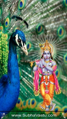 Krishna Mobile Wallpapers_653