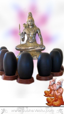 Siva Mobile Wallpaper_319