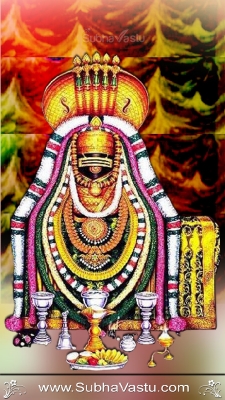 Siva Mobile Wallpaper_615