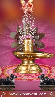 Siva Mobile Wallpaper_638