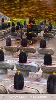 Siva Mobile Wallpaper_679