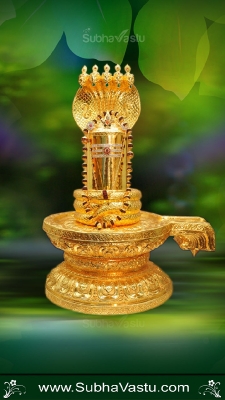 Siva Mobile Wallpaper_722