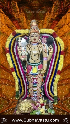 Lord Subramanya Mobile Wallpapers_587