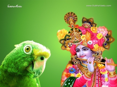 Krishna-1024X768_204