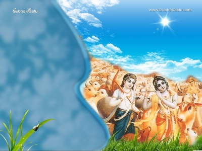 Krishna-1024X768_250