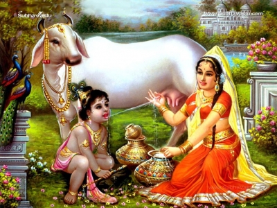 Krishna-1024X768_571