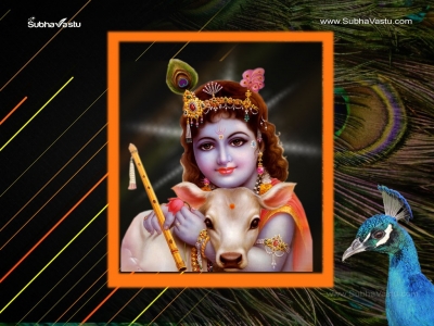 Krishna-1024X768_833