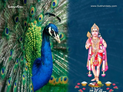 1024X768-Subramanya_252