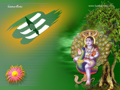 1024X768-Subramanya_254