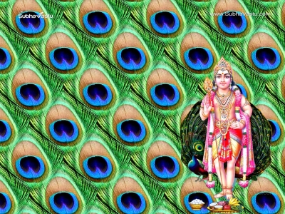 1024X768-Subramanya_27