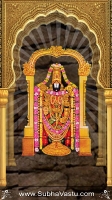 Balaji Cell_47