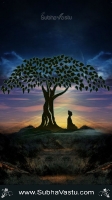 Buddha Mobile Wallpapers_318