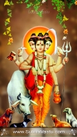 Dattatreya Mobile Wallpapers_101