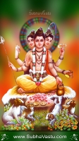 Lord Dattatreya Mobile Wallpapers_96
