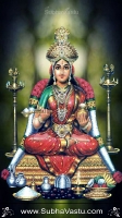 Gayathri