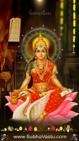 Gayathri Mobile Wallpapers_115