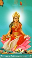 Gayathri Mobile Wallpapers_121