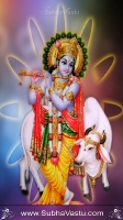 Krishna Cell Wallpapers_62