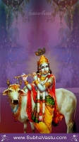 Krishna Mobile Wallpapers_1307