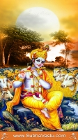 Krishna Mobile Wallpapers_1387