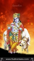Krishna Mobile Wallpapers_1630