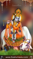 Krishna Mobile Wallpapers_1791